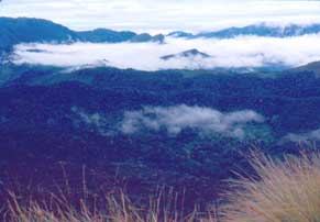 Western Ghats