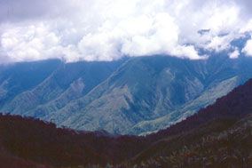 View from top station Munnar