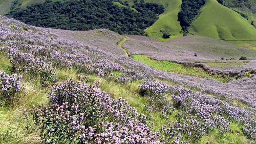 Turner's valley