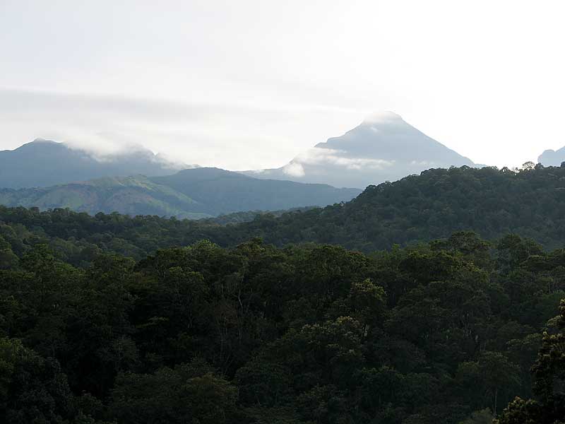 Agasthya peak