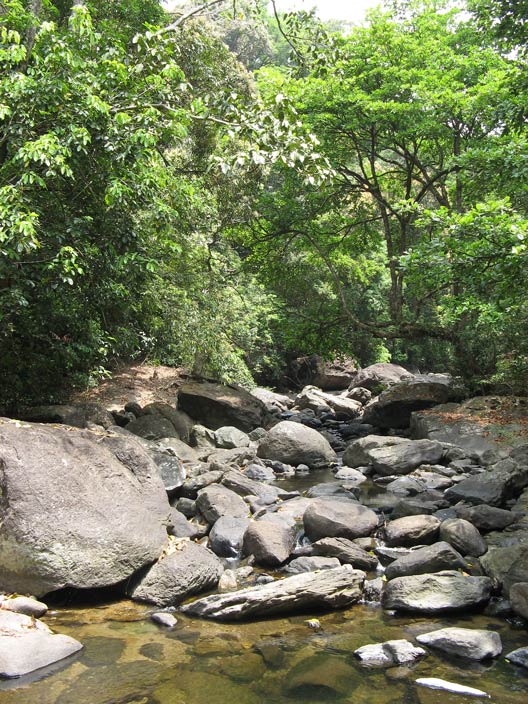 Sanctuary