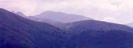 Grasslands