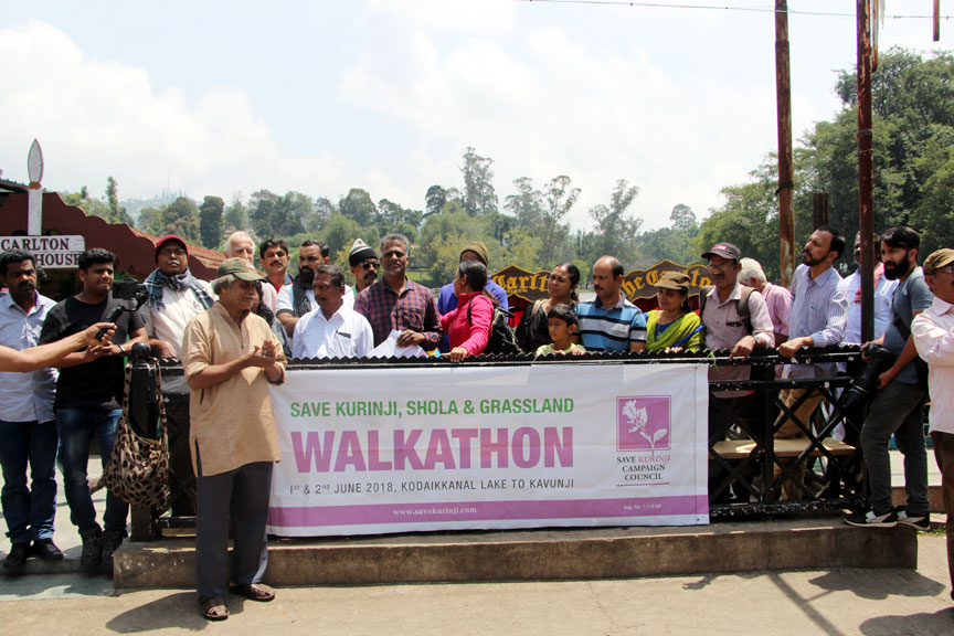 walkathon