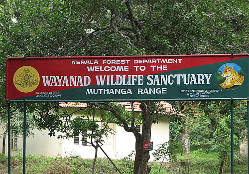 Wayanad 